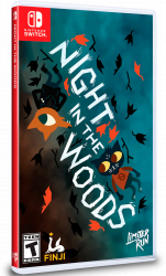 Night In The Woods